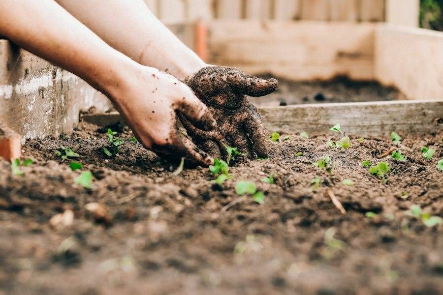 Hands holding farm soil