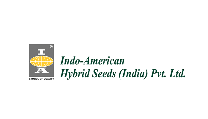 indo